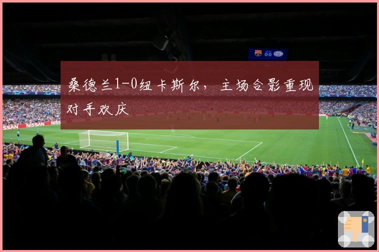 桑德兰1-0纽卡斯尔，主场合影重现对手欢庆