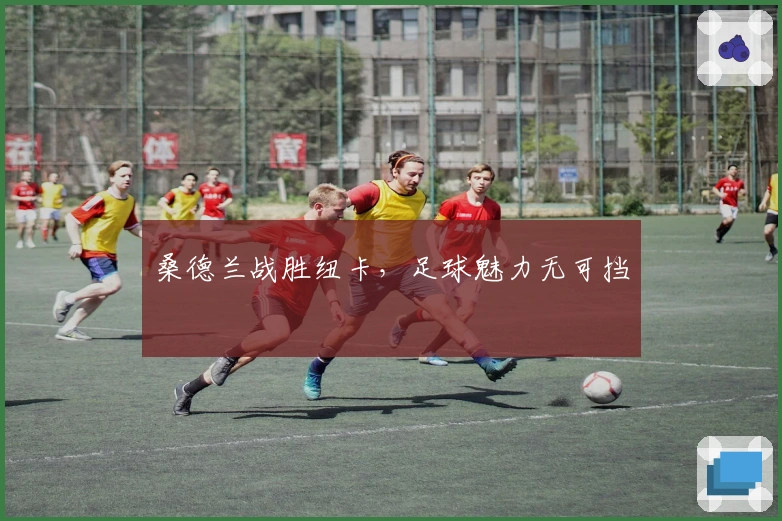 桑德兰战胜纽卡，足球魅力无可挡