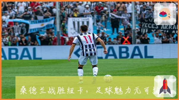 桑德兰战胜纽卡，足球魅力无可挡