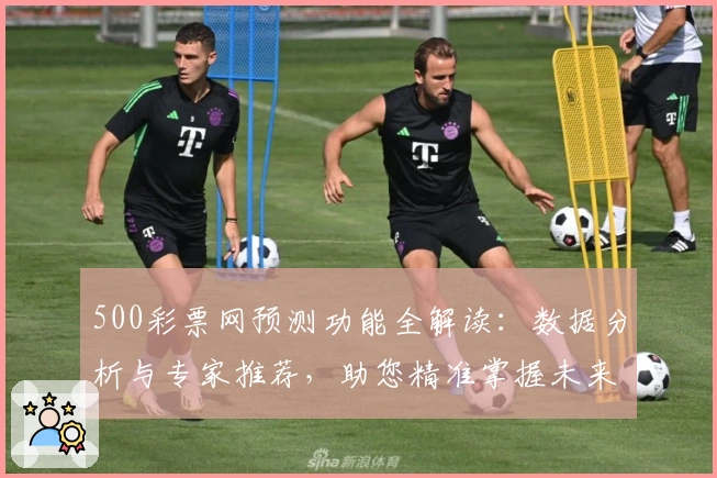 500彩票网预测功能全解读：数据分析与专家推荐，助您精准掌握未来趋势